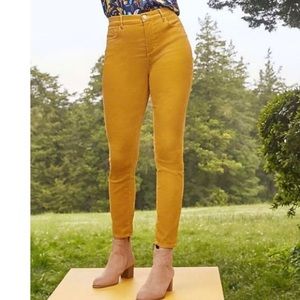 Burnt Orange Loft Corduroy Pants